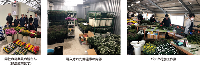 同社の従業員の皆さん(鮮温庫前にて)・導入された鮮温庫の内部・パック花加工作業