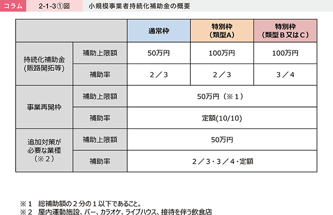 コラム2-1-3〔1〕図 小規模事業者持続化補助金の概要