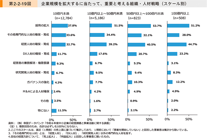 第2-2-19図　企業規模を拡大するに当たって、重要と考える組織・人材戦略（スケール別）