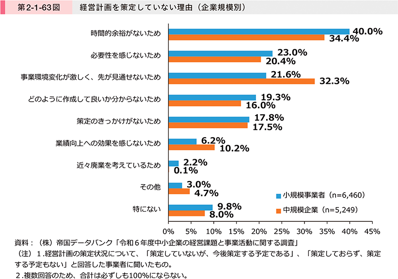 第2-1-63図　経営計画を策定していない理由（企業規模別）