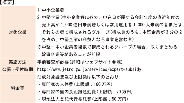 【海外展開のための専門家活用助成事業概要】