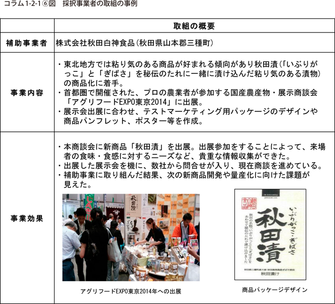コラム1-2-1〔6〕図　採択事業者の取組の事例
