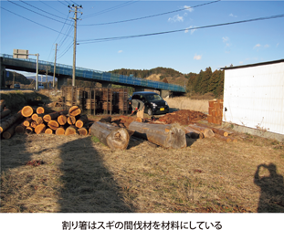 割り箸はスギの間伐材を材料にしている