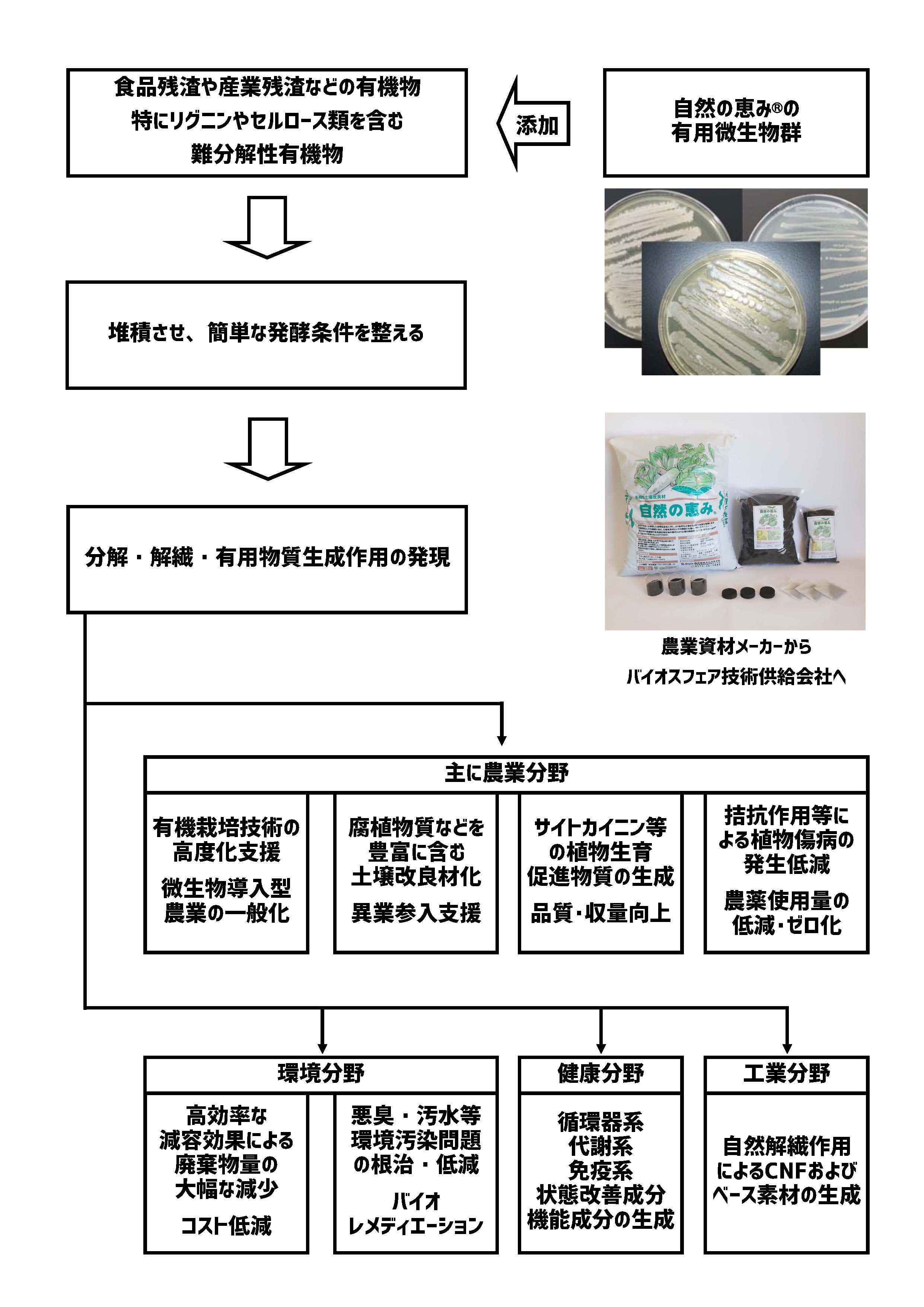 キノコ 意匠