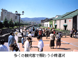 多くの観光客で賑わう小樽運河