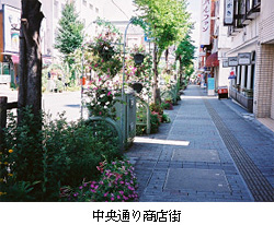 ʂ菤XX