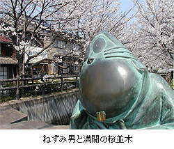 ねずみ男と満開の桜並木